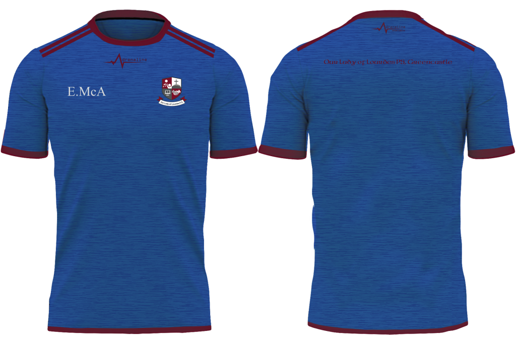 Our Lady of Lourdes P.S, Greencastle Tee - Image 3