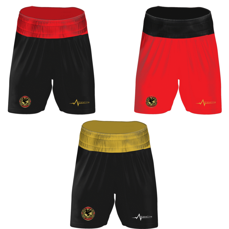 Pegasus ABC Fight Shorts